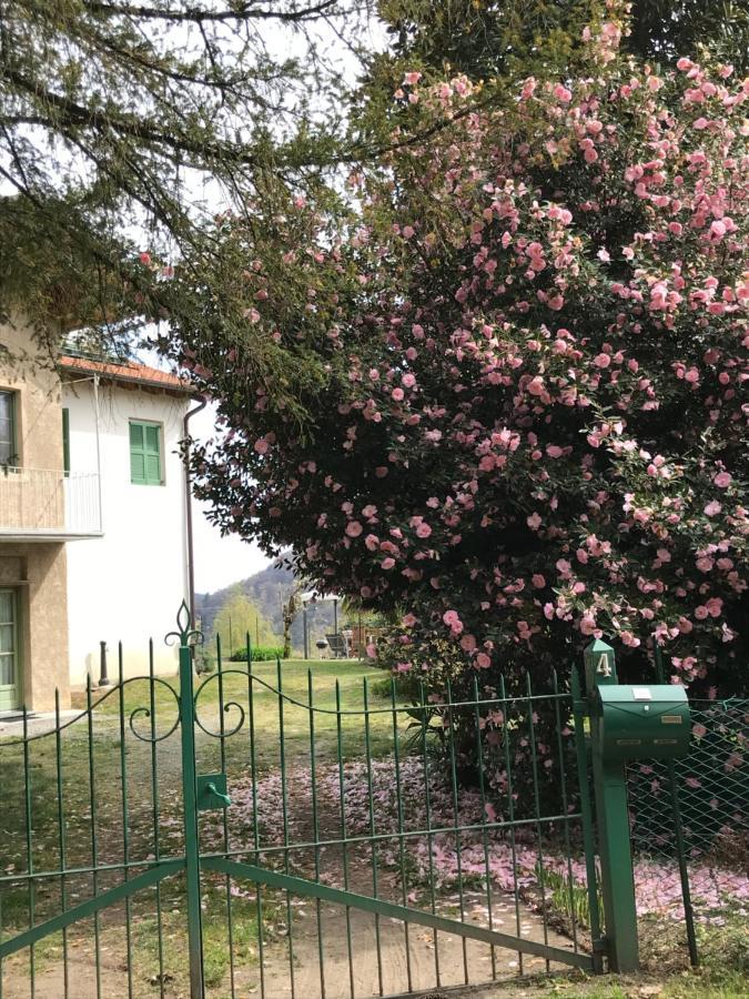 Appartamento La Camelia Ameno Eksteriør billede