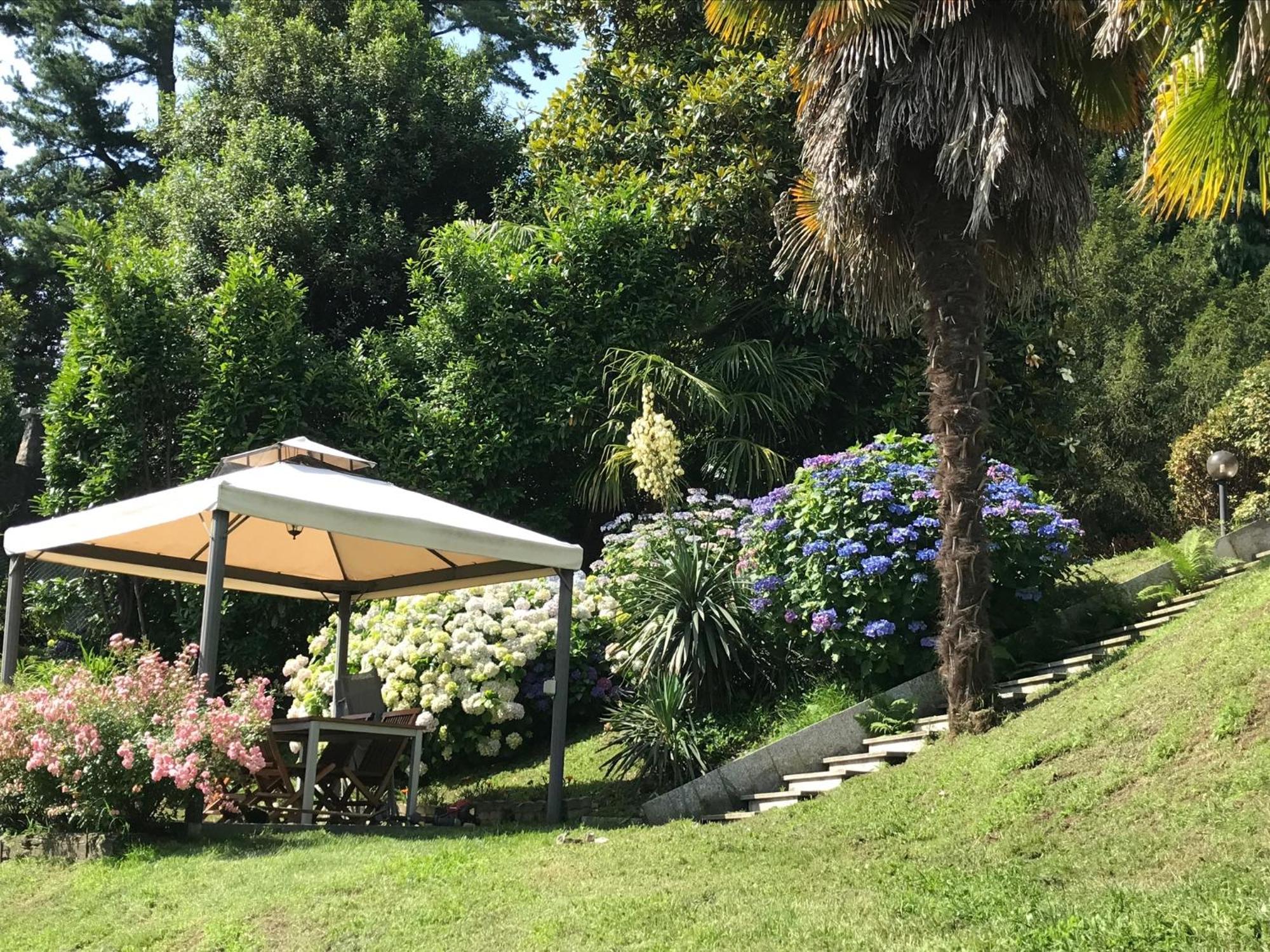 Appartamento La Camelia Ameno Eksteriør billede